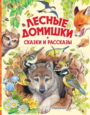 Михаил Пришвин Лесные домишки. Сказки и рассказы обложка книги