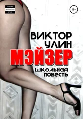 Виктор Улин - Мэйзер