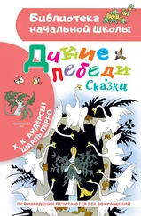 Ганс Андерсен - Дикие лебеди. Сказки