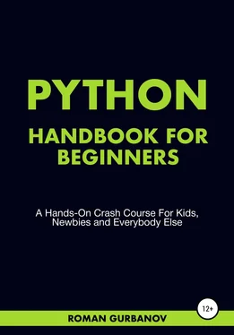 Roman Gurbanov Python Handbook For Beginners обложка книги