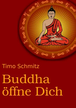 Timo Schmitz Buddha öffne dich обложка книги
