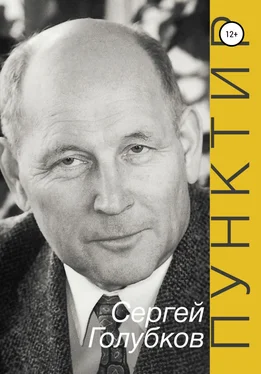 Сергей Голубков ПУНКТИР обложка книги