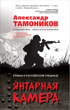 Александр Тамоников Янтарная камера обложка книги