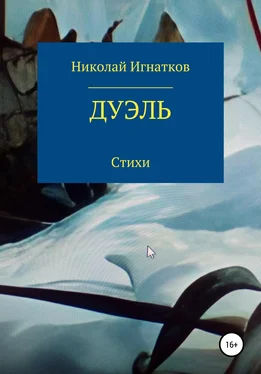 Николай Игнатков Дуэль обложка книги