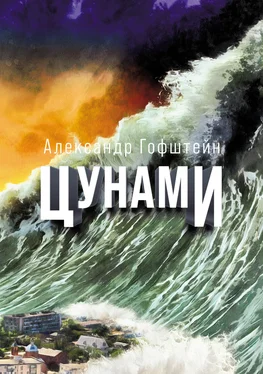 Александр Гофштейн Цунами обложка книги