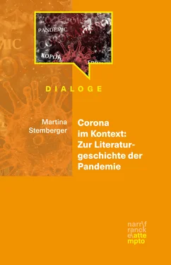 Martina Stemberger Corona im Kontext: Zur Literaturgeschichte der Pandemie обложка книги