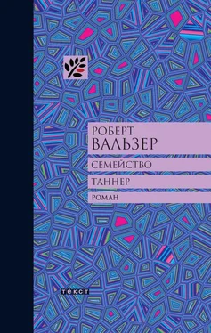 Роберт Вальзер Семейство Таннер обложка книги