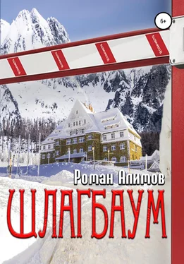 Роман Алимов Шлагбаум обложка книги
