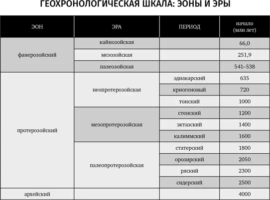 Часть I Краткая история палеонтологии Глава 1 Глубокое искусство тро - фото 4