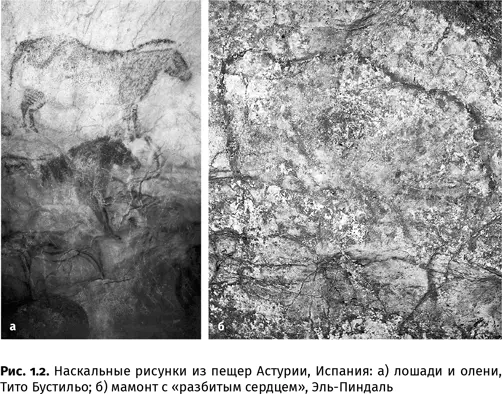 Глава 2 Первые палеонтологи Среди троглодитов уже встречались палеонтологи - фото 7