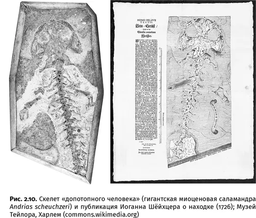 Время на месте не стояло но топталось долго Лишь в самом конце XVII в - фото 16