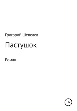 Григорий Шепелев Пастушок обложка книги