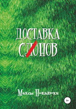 Максим Покалюк Доставка С(ло)нов обложка книги