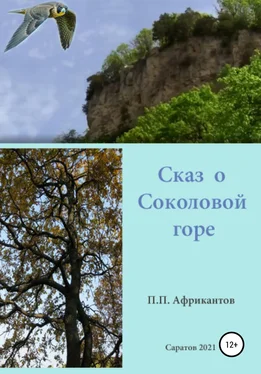 Петр Африкантов Сказ о Соколовой горе обложка книги