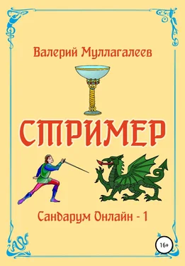 Валерий Муллагалеев Стример обложка книги