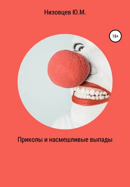 Юрий Низовцев Приколы и насмешливые выпады обложка книги
