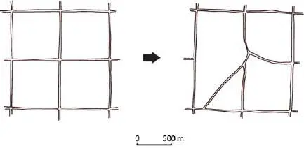 Figure 13 Theoretical illustration of the decay of a centuriated cadastral - фото 4