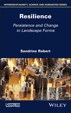 Sandrine Robert Resilience обложка книги