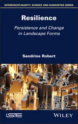 Sandrine Robert - Resilience