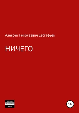 Алексей Евстафьев Ничего обложка книги