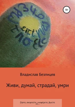 Владислав Безлицев Живи, думай, страдай, умри обложка книги