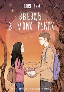 Юлия Лим Звезды в моих руках обложка книги