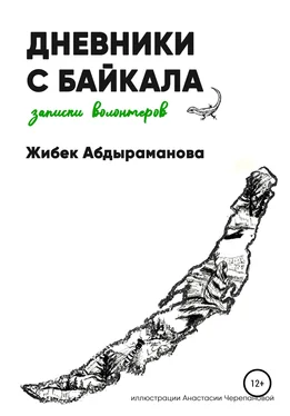 Жибек Абдыраманова Дневники с Байкала: волонтерские записки обложка книги