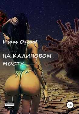 Игорь Озеров На Калиновом мосту обложка книги