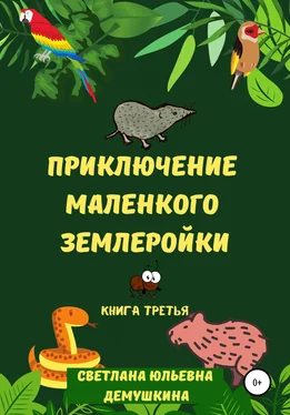 Светлана Демушкина Приключение Маленького Землеройки. Книга третья обложка книги