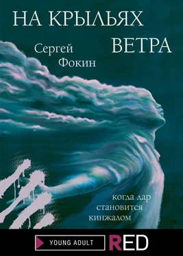 Сергей Фокин На крыльях ветра обложка книги