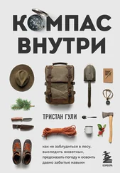Тристан Гули - Компас внутри. Как не заблудиться в лесу, выследить животных, предсказать погоду и освоить давно забытые навыки