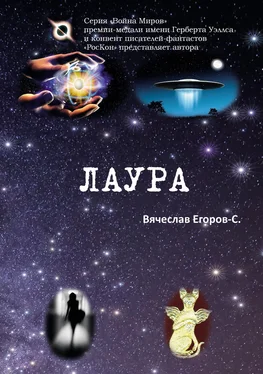 Вячеслав Егоров-С Лаура обложка книги