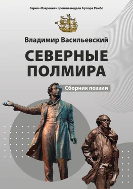 Владимир Васильевский Северные полмира обложка книги