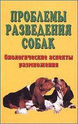 Елена Коваленко - Проблемы разведения собак. Биологические аспекты размножения