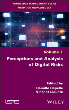 Неизвестный Автор Perceptions and Analysis of Digital Risks обложка книги