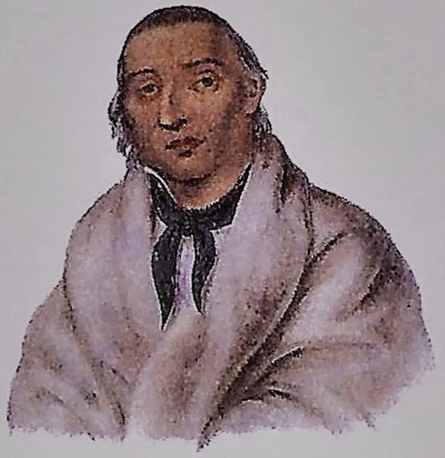 Figure 11 Portrait of Sioux Chief Little Crow 1824 From Native Americans - фото 7