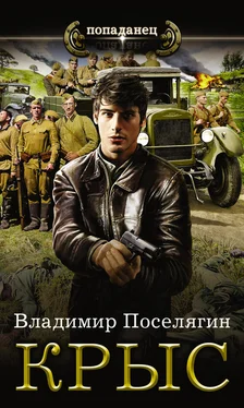 Владимир Поселягин Крыс обложка книги