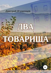 Дмитрий Игуменцев - Два товарища