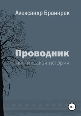 Александр Браинрек Проводник обложка книги