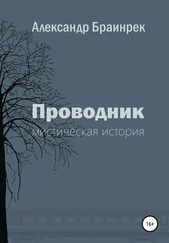 Александр Браинрек - Проводник