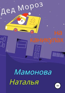 Наталья Мамонова Дед Мороз на каникулах обложка книги