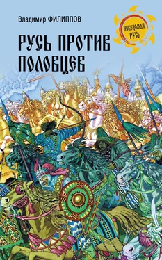 Владимир Филиппов Русь против половцев обложка книги