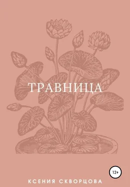 Ксения Скворцова Травница обложка книги