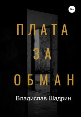 Владислав Шадрин Плата за обман обложка книги