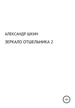 Александр Шкин Зеркало отшельника 2 обложка книги