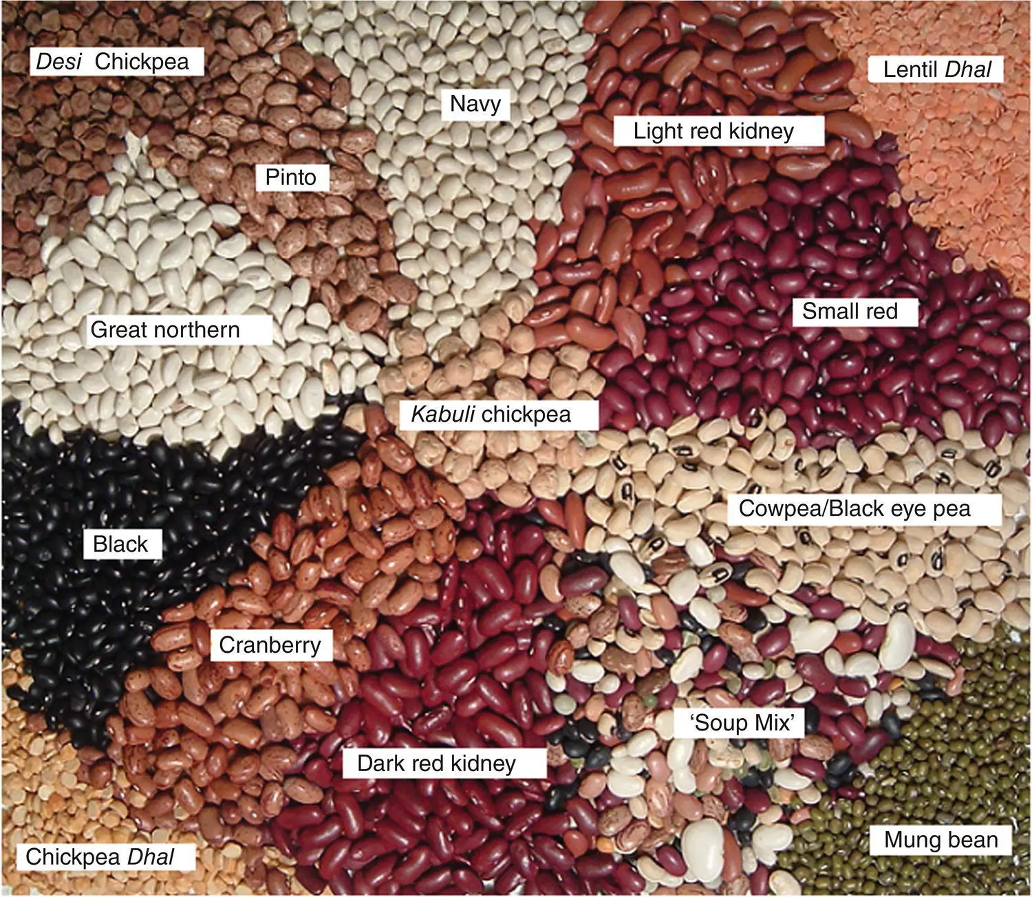 Fig 12 A selection of common dry beans and pulses For color detail please - фото 3