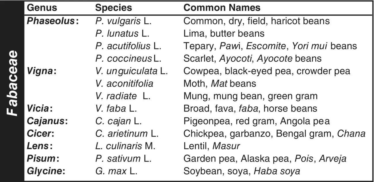 Fig 32 Selected dry beans and pulses in Fabaceae family A comprehensive - фото 19