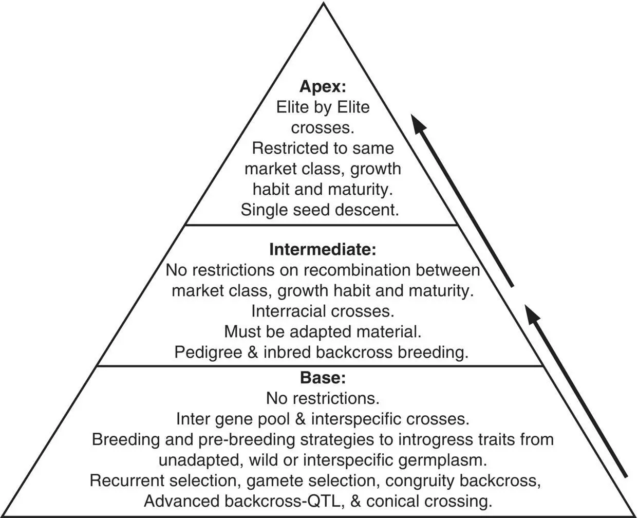Fig 25 Breeding pyramid A threetiered approach to breeding for yield in - фото 15