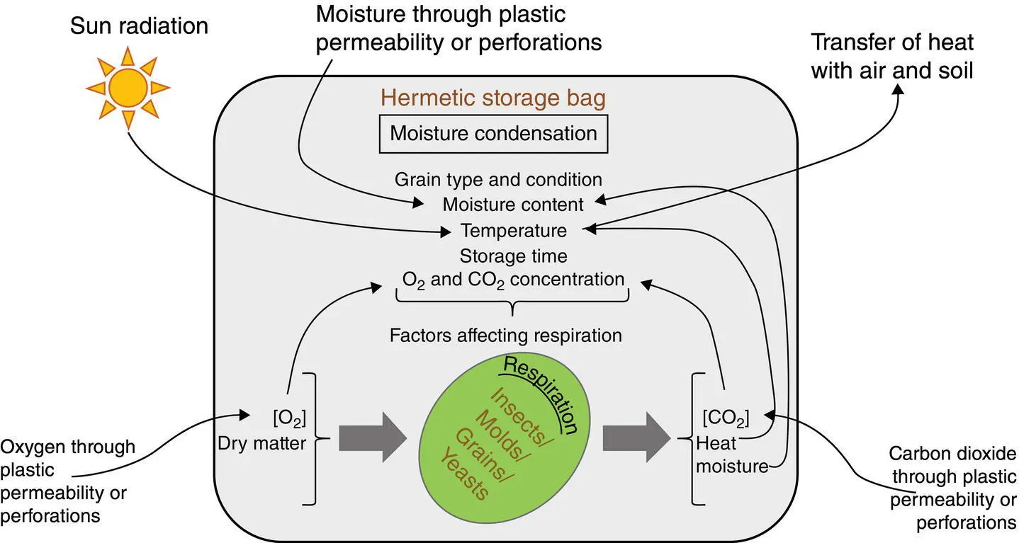 Fig 45 Interrelationship of factors affecting the grain and microorganism - фото 29