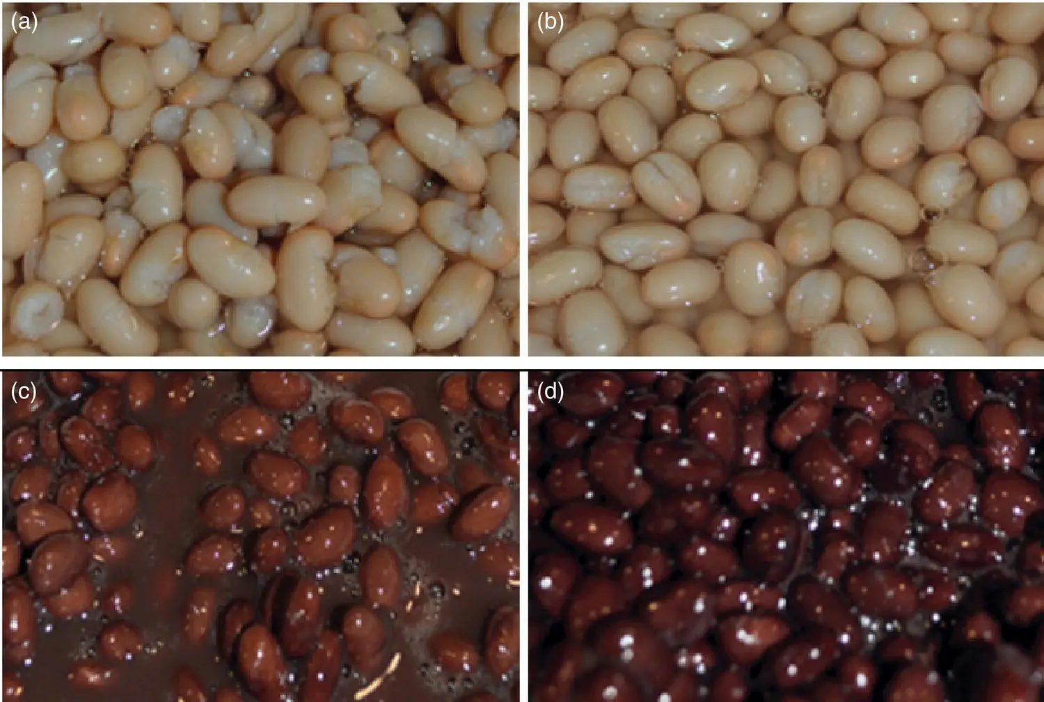 Fig 27 Canned beans with differences in processing quality a Navy beans - фото 17